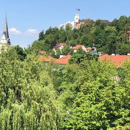 Castle View Studio Laibach Exterior foto